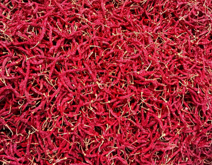 Syngenta Hybrid Red Chilli Guntur Export Grade